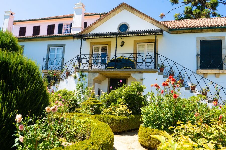 Porto: Douro Valley Tour with Lunch, Boat Cruise & Tastings - Cruising from Pinhão on the Douro River