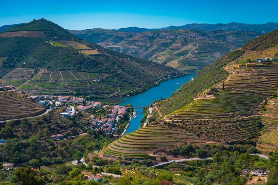 Porto: Douro Valley Tour with Lunch, Boat Cruise & Tastings - How the tour handles bad weather