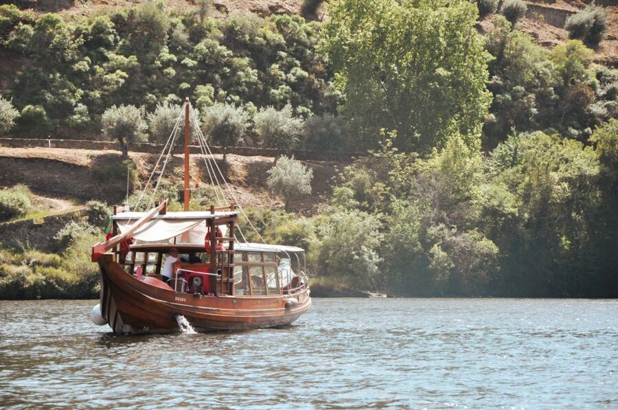 Porto: Douro Valley Tour with Wine Tasting, Cruise and Lunch - Who should book this Douro tour?