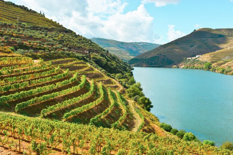 Porto: Douro Valley Tour with Wine Tasting, Cruise and Lunch - Is $76 a good value?