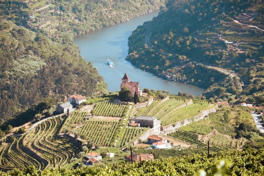 Porto: Douro Valley Tour with Wine Tasting, Cruise and Lunch - First tasting: vineyards above the Douro
