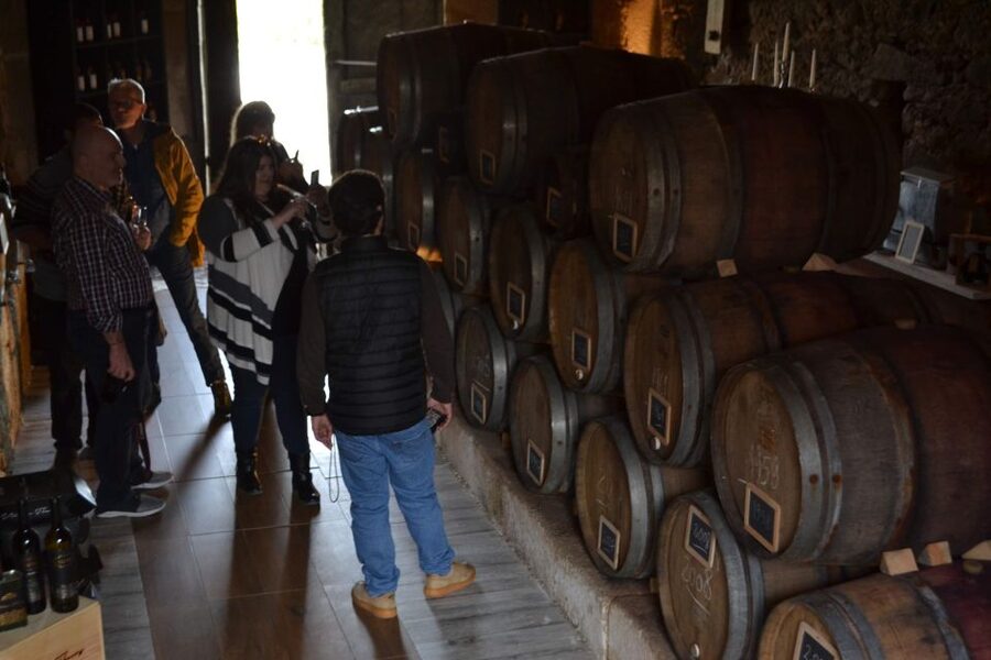Porto: Douro Valley Vineyards Tour with Lunch & River Cruise - Why the Douro Valley makes a fine day trip from Porto