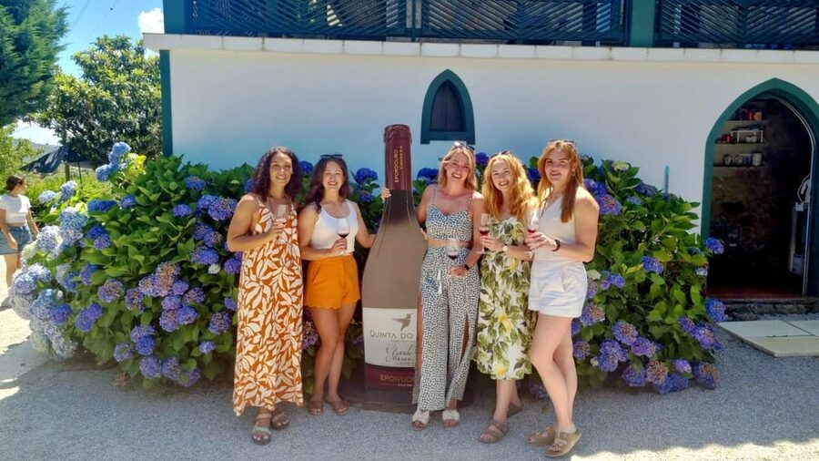 Porto: Douro Valley Vineyards Tour with Lunch & River Cruise - Who will enjoy this day most