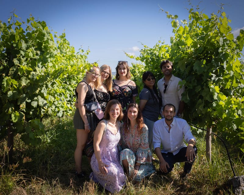 Porto: Douro Valley Wine Tour with a Sommelier & Boat Trip - Who should book this experience