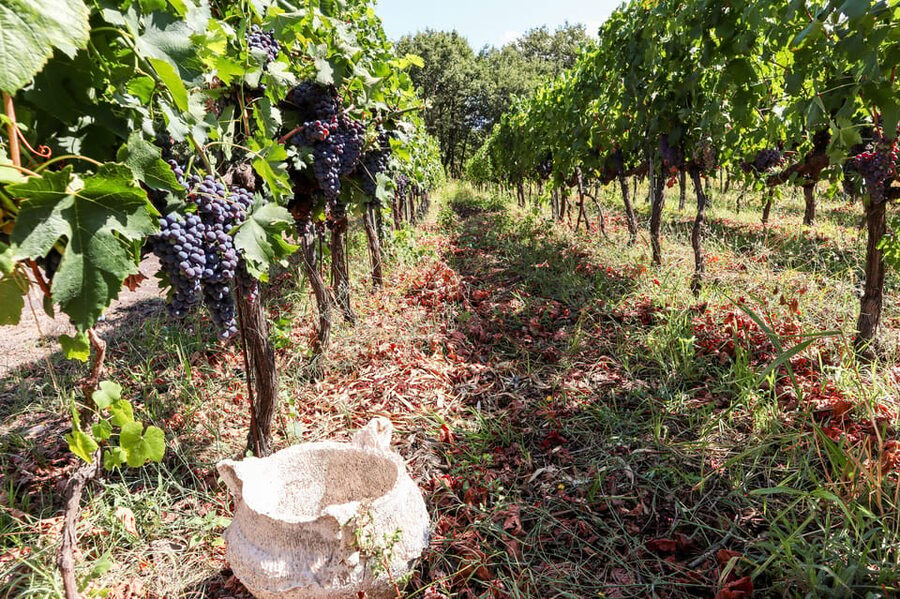 Porto: Douro Valley Wine Tour with a Sommelier & Boat Trip - What the 10-hour schedule feels like