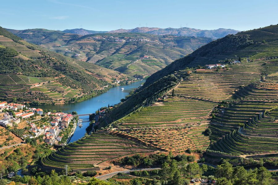 Porto: Douro Valley Wine Tour with a Sommelier & Boat Trip - The first stop near Penafiel
