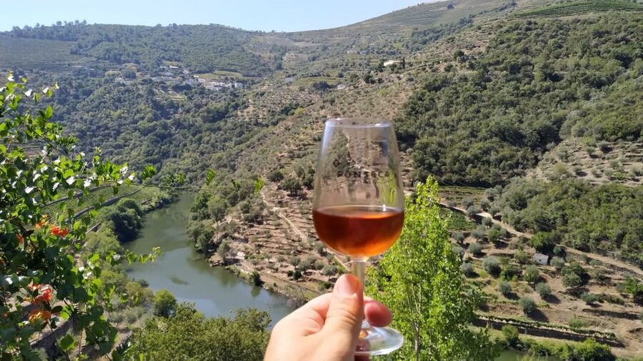 Porto: Douro Valley Wine Tour with Tastings, Boat, and Lunch - Who should book this experience?
