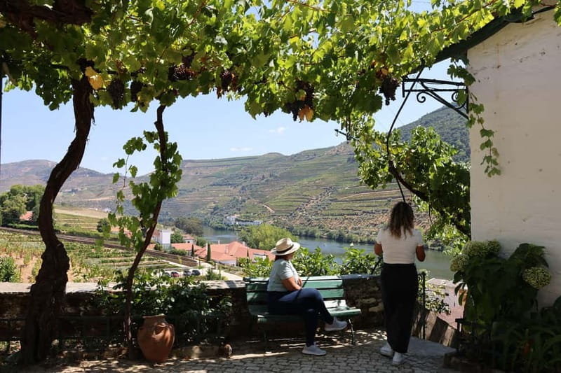 Porto: Douro Valley with Small Wineries, Lunch and Boat Tour - Practical details that matter