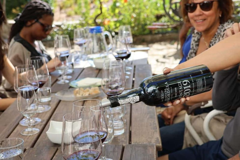 Porto: Douro Valley with Small Wineries, Lunch and Boat Tour - First tastings and the Douro River viewpoint