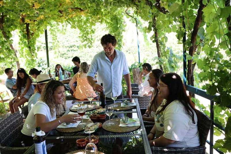 Porto: Douro Valley with Small Wineries, Lunch and Boat Tour - The N222 and the return through wine country