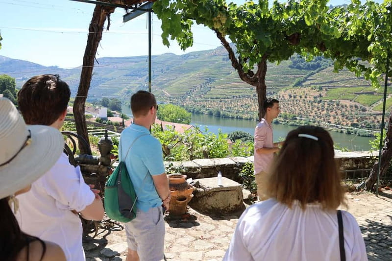 Porto: Douro Valley with Small Wineries, Lunch and Boat Tour - Guides make a real difference