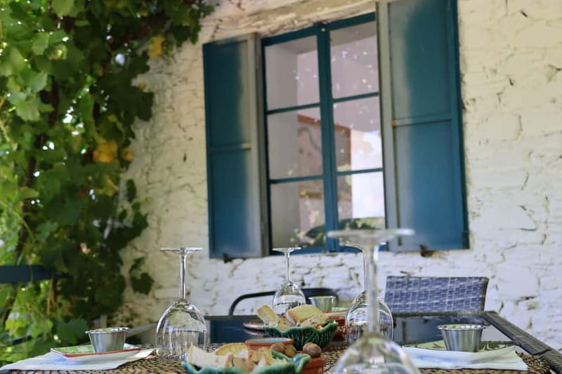 Porto: Douro Valley with Small Wineries, Lunch and Boat Tour - What the $111 price gets you