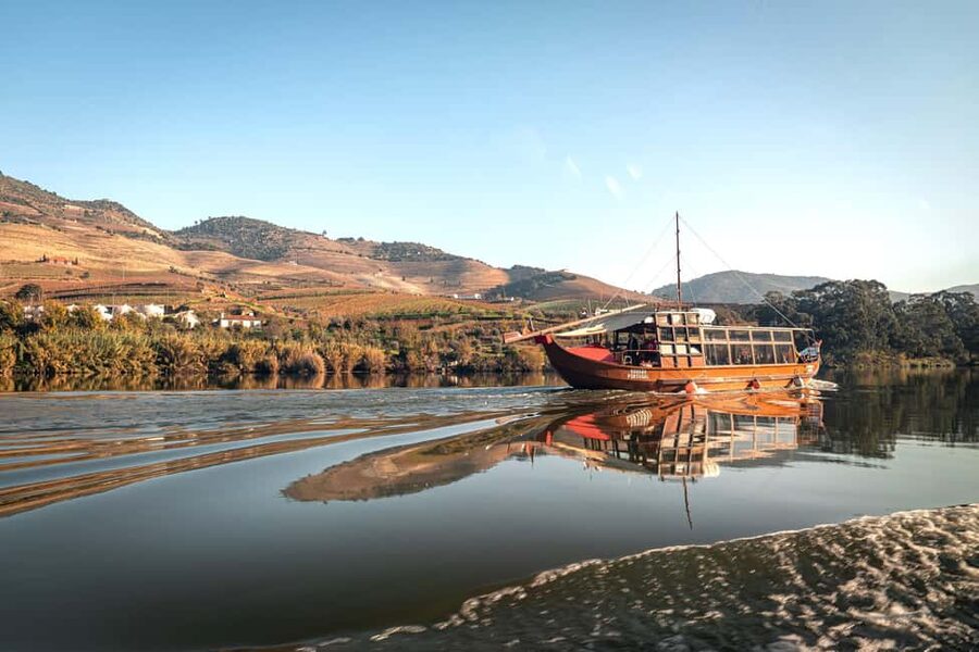Porto: Douro Wine Tour with Lunch and River Cruise - Key things to know before booking