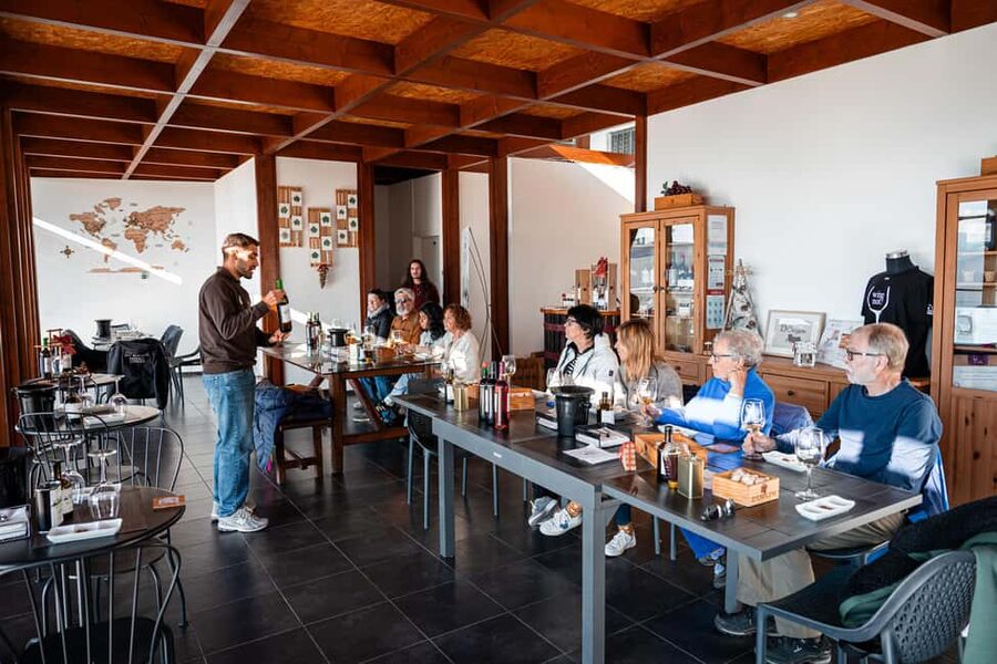 Porto: Douro Wine Tour with Lunch and River Cruise - Who will enjoy this tour most