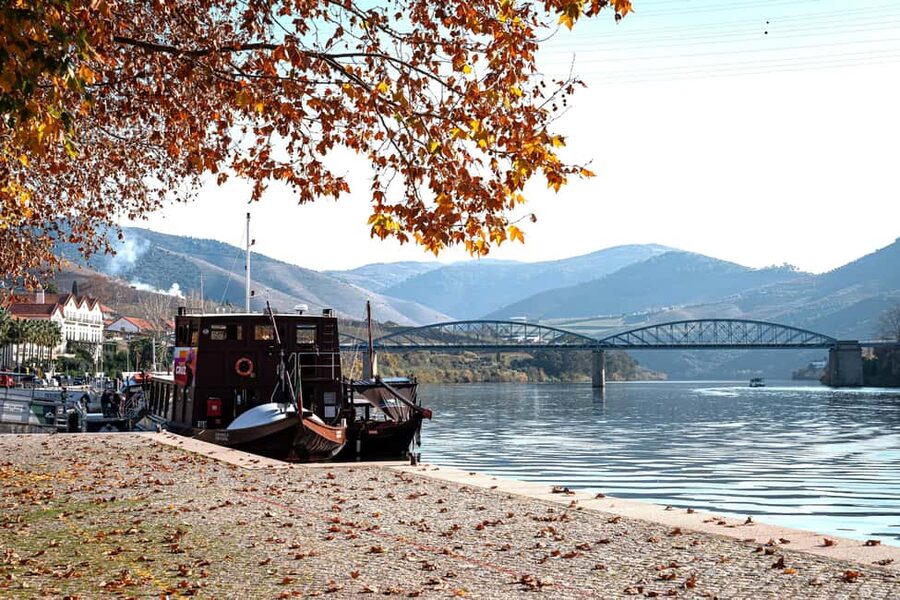 Porto: Douro Wine Tour with Lunch and River Cruise - First winery: Port, Douro wine, and how the valley produces both