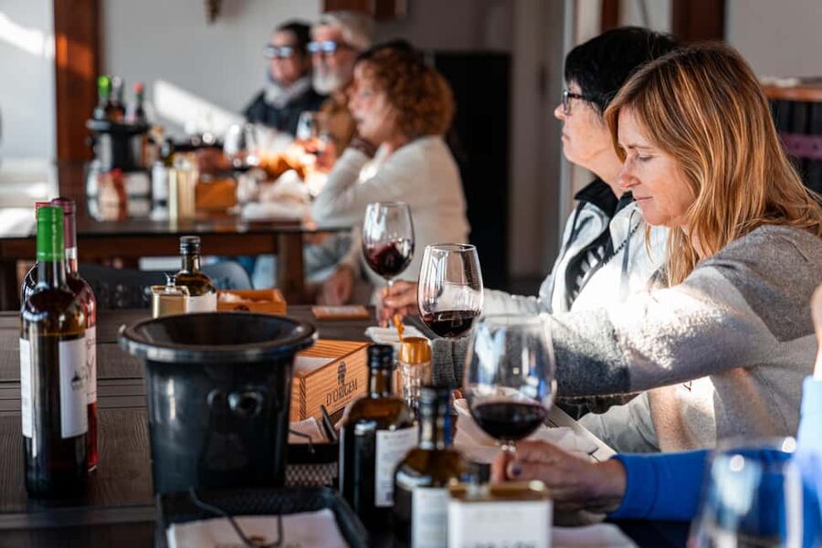 Porto: Douro Wine Tour with Lunch and River Cruise - The second winery adds a useful comparison