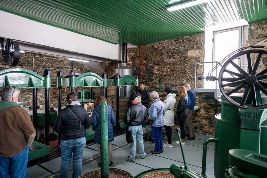 Porto: Douro Wine Tour with Lunch and River Cruise - What the $153 price really buys you