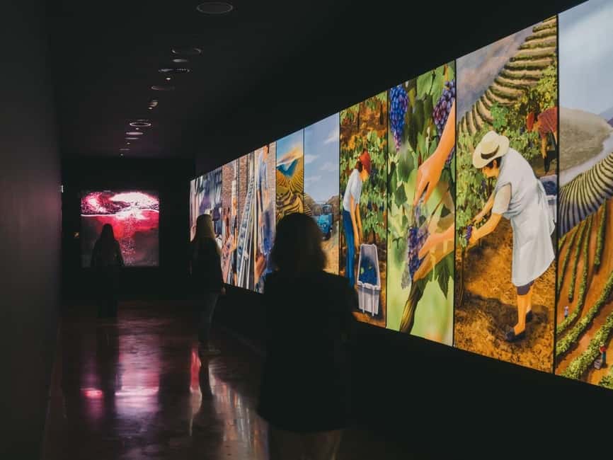 Porto: Entry Ticket at WOW - The Wine Experience Museum - Who will enjoy this museum most?