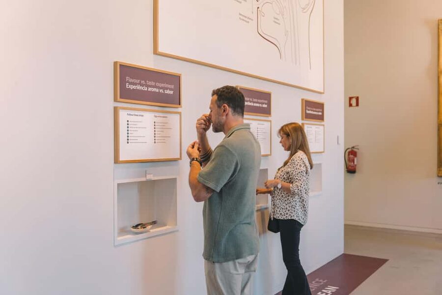 Porto: Entry Ticket at WOW - The Wine Experience Museum - Starting at WOW’s Wine Experience