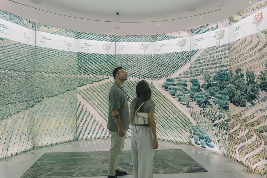 Porto: Entry Ticket at WOW - The Wine Experience Museum - Portugal’s wine regions in one visit