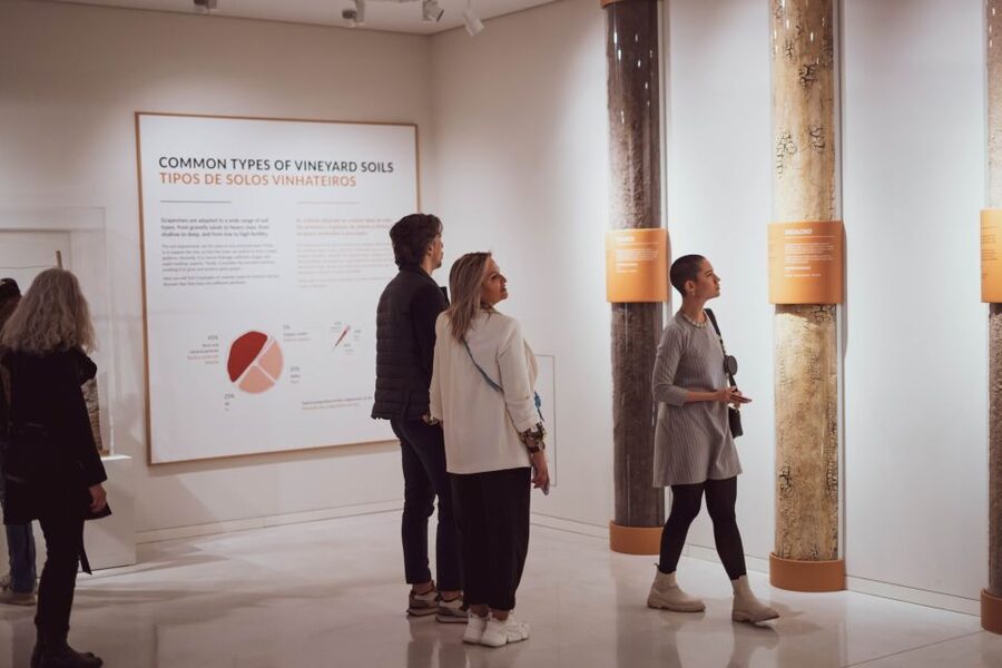 Porto: Entry Ticket at WOW - The Wine Experience Museum - Is the $20 price good value?