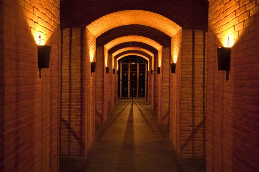 Porto: Graham's Port Lodge Tour with Premium Wine Tastings - A leisurely two-hour schedule