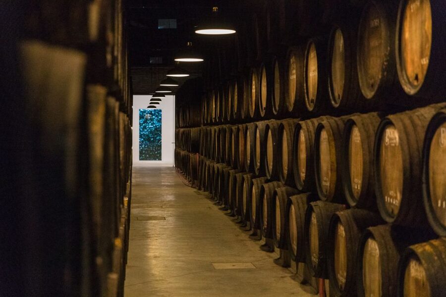 Porto: Guided Tour and Tasting of 3 Port Wines at Poças - The cellar visit: barrels, time, and the Douro Valley