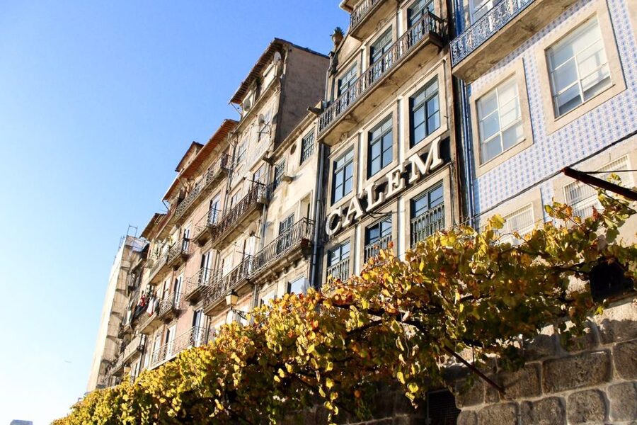 Porto: Guided Walking Tour and Lello Bookshop - Avenida dos Aliados and modern Porto