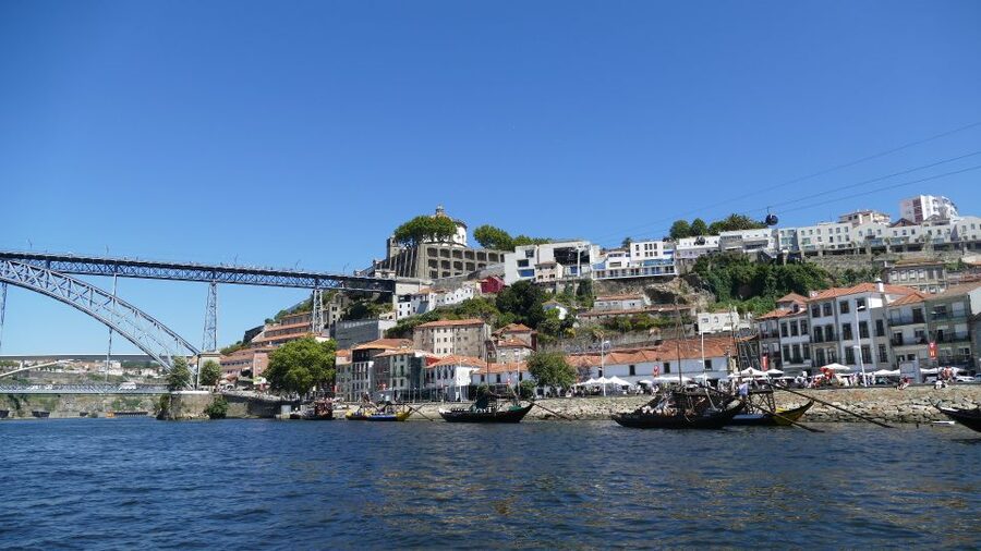 Porto Half-Day Tour and Wine Tasting - What the guides add to the experience