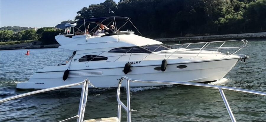 Porto: Luxury Yacht Tour of the 6 Bridges and Douro Estuary - The first views: Arrábida Bridge, Crystal Palace, and Alfândega