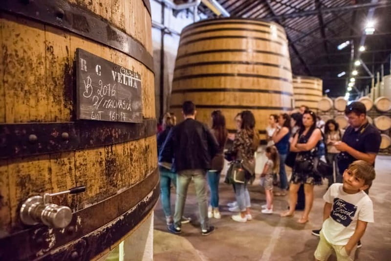 Porto: Magic Train Tour and Port Wine Cellar with Tastings - Key points to know before booking