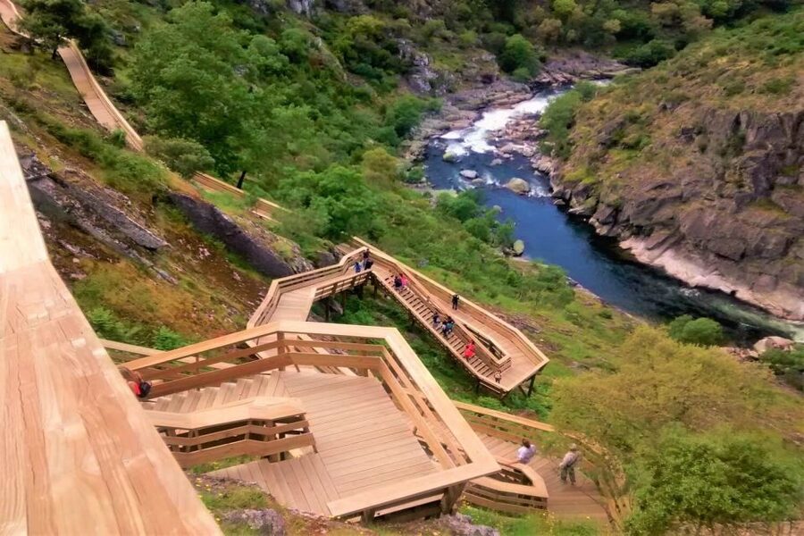 Porto: Paiva Walkways and Suspension Bridge Hike with Lunch - Who should book this day trip