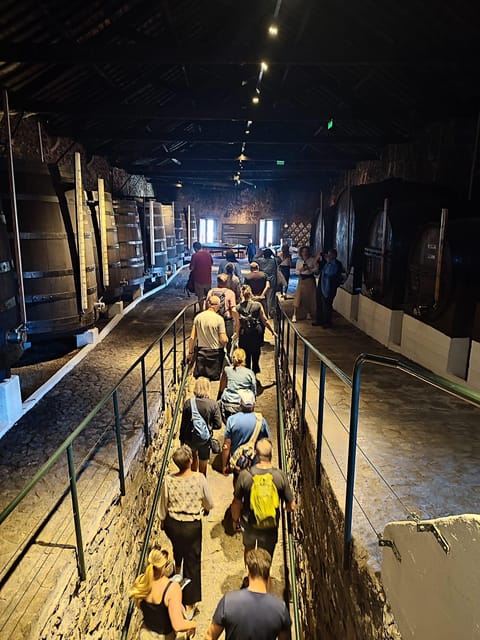 Porto: Port and Douro Wine Walking Tour with 9 Tastings - Fonseca brings a larger Port house into the picture