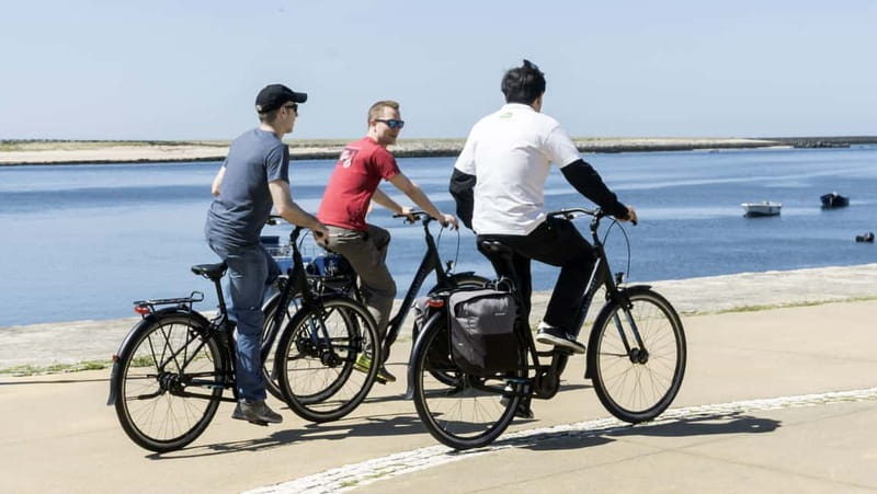 Porto Private E-Bike Tour: Douro River, Parks & Beaches - Along the Douro, from Alfândega to Arrábida