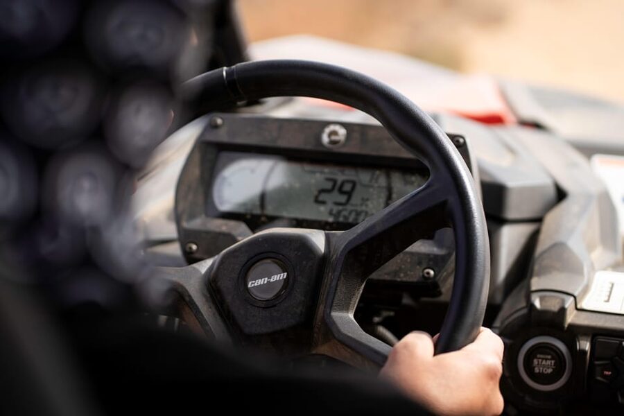 Porto Santo: 90 Minutes Off-Road Buggy Tour - Who should book this Porto Santo outing