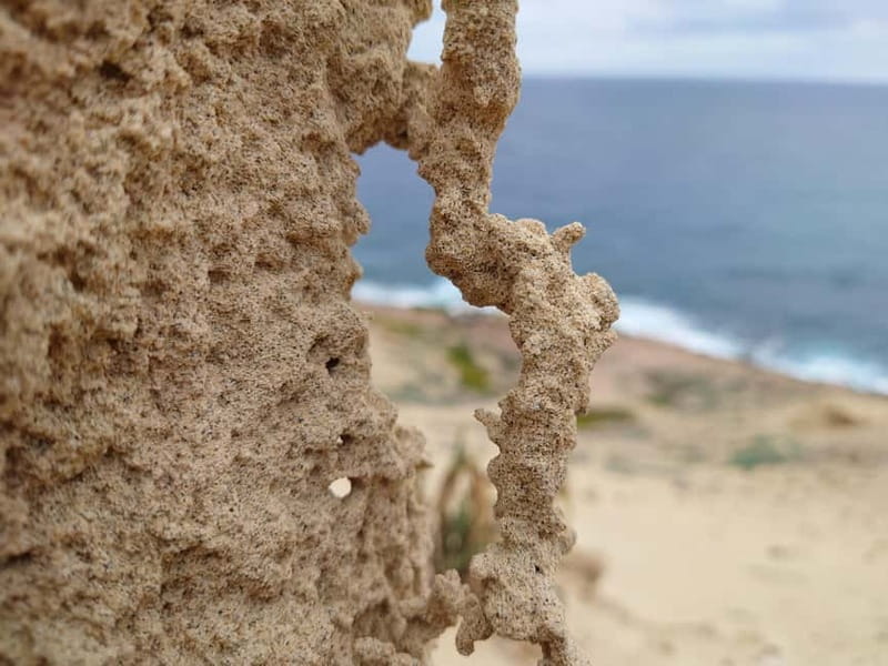 Porto Santo: Island Highlights 4x4 Tour with Hotel Transfers - Price, transport, and practical value