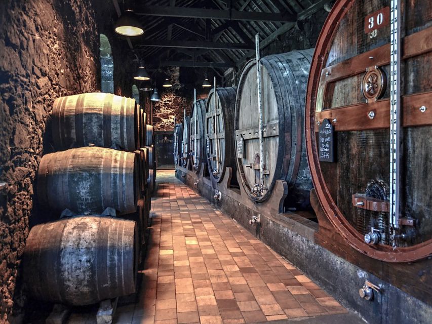 Porto: Self-Guided Bike and Boat Tour with Port Wine Tasting - Cruising beneath the six bridges