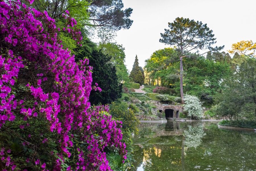 Porto: Serralves Foundation All Access Pass - How long should you allow?