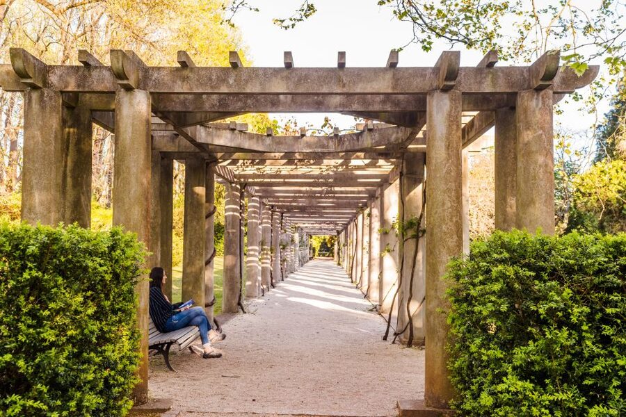 Porto: Serralves Foundation All Access Pass - Practical details, access, and possible frustrations
