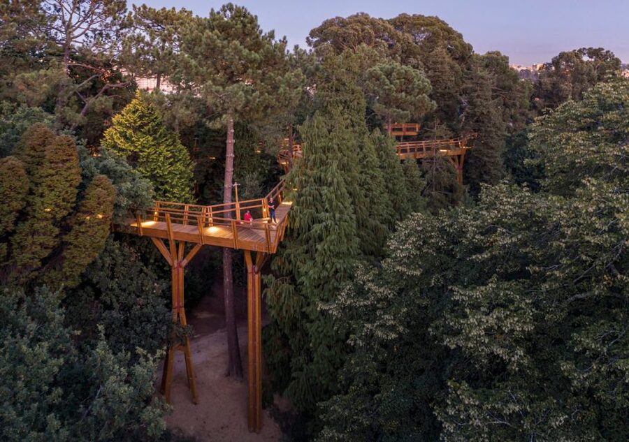 Porto: Serralves Park Entry Ticket - From 19th-century gardens to present-day design