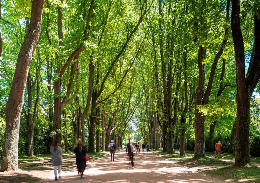 Porto: Serralves Park Entry Ticket - Should you book Serralves Park?