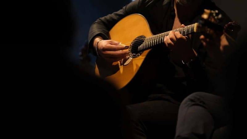Porto: The highest-rated traditional fado concert (downtown) - The concert itself: voices, guitars, and improvisation