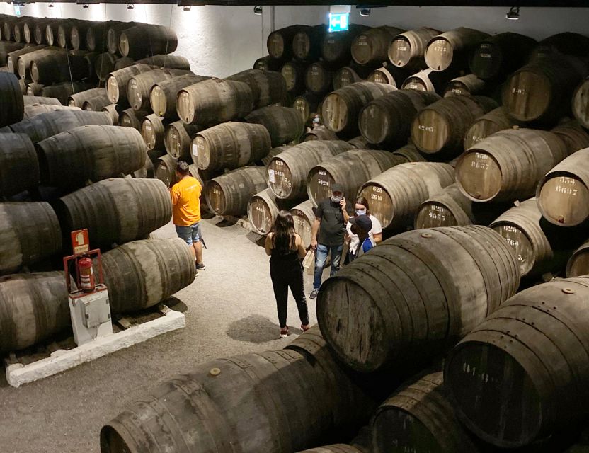 Porto: Wine Tasting with Tapas Walking Tour - Who should book this experience?