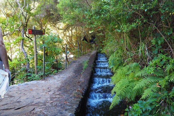 PR6 & PR6.1 25 Fontes & Risco Levada Self-Guided Hiking Rabaçal - What you miss by choosing self-guided hiking