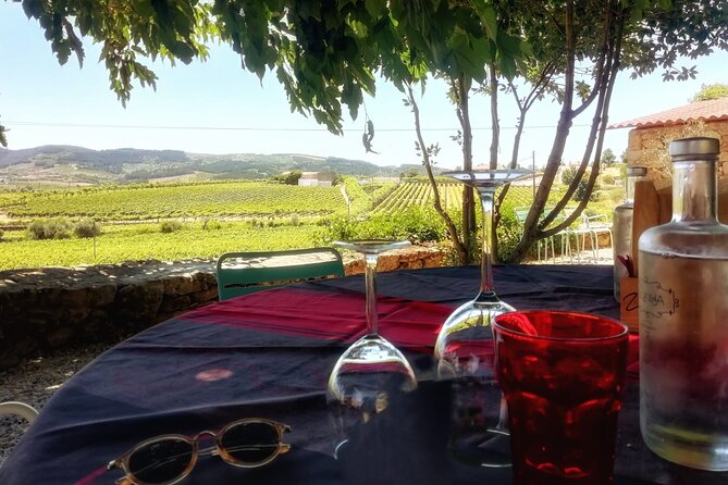 Premium Douro Valley Small-Group Tour, Wine Tasting, Lunch & Boat - Why this Douro day works so well from Porto