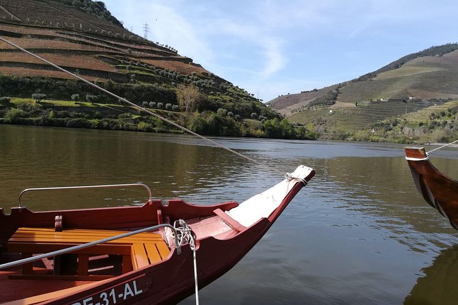 Premium Douro Valley Small-Group Tour, Wine Tasting, Lunch & Boat - Who should book this Douro Valley tour?
