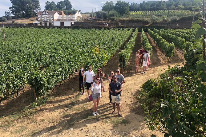 Premium Douro Valley Small-Group Tour, Wine Tasting, Lunch & Boat - Pinhão and an hour on the Douro River