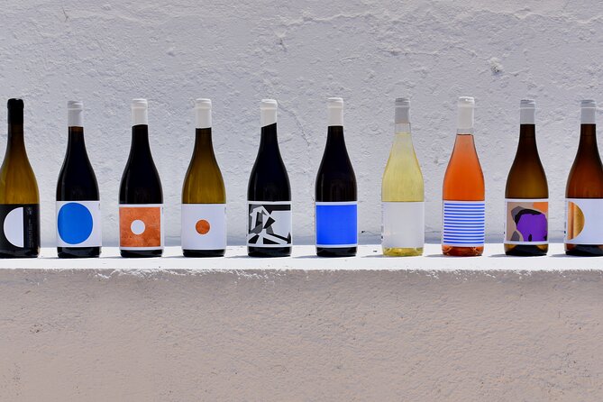 Premium Vineyard Tour & Tasting - Walking among the vines
