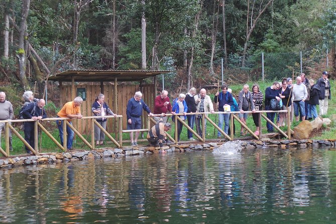 Private Full Day 4X4 Experience: East or West - Who should book this Madeira tour