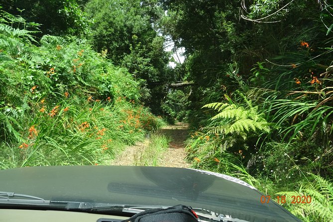 Private Full Day Off-Road Tour in Madeira - Following the north coast past cliffs and waterfalls
